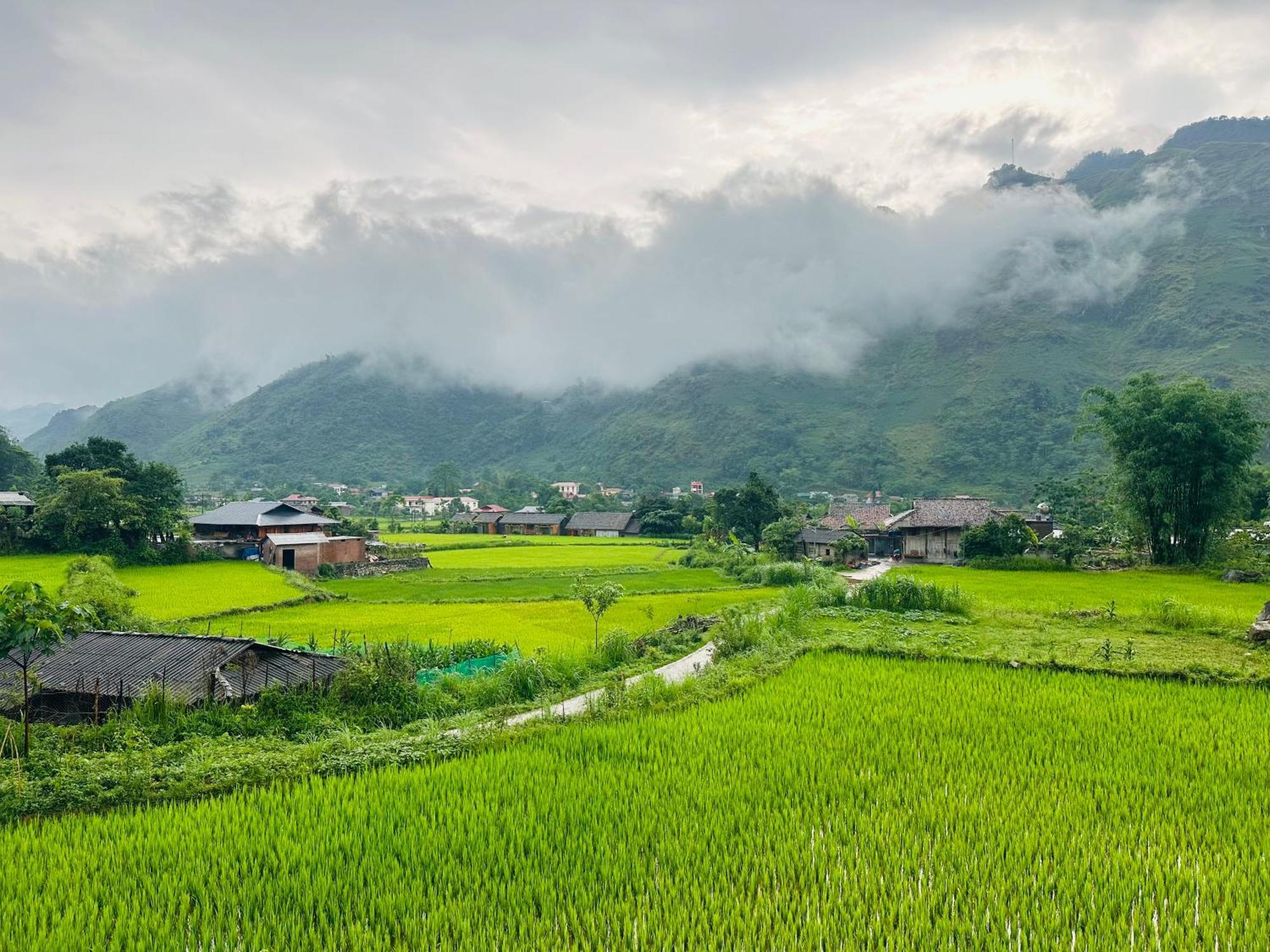 Du Gia Field View Homestay Làng Cac エクステリア 写真
